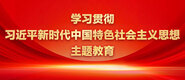 淫荡的操逼视频,小说学习贯彻习近平新时代中国特色社会主义思想主题教育_fororder_ad-371X160(2)